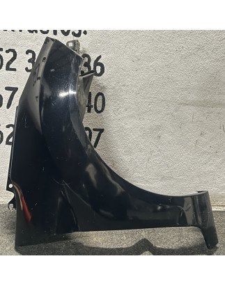 Guarda Lamas Direito	Ford Fiesta VI