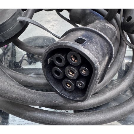 Nissan Leaf Cabo Carregamento