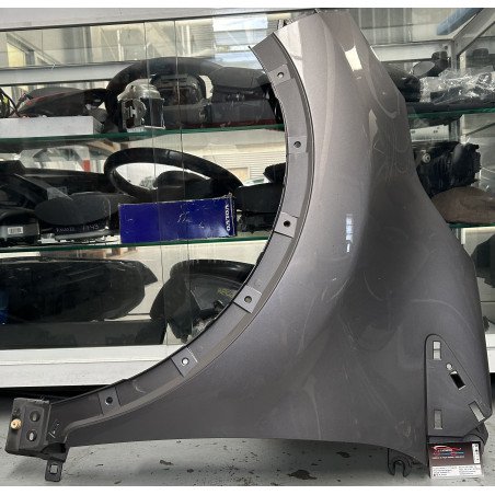 Renault Captur II Guarda Lamas Esquerdo