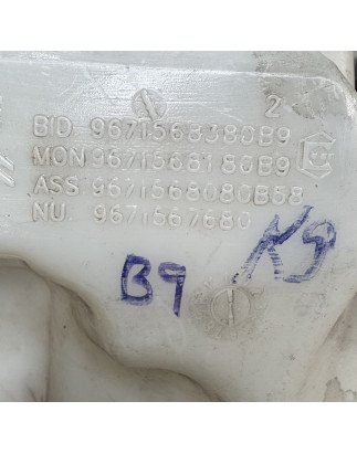 Citroen Berlingo B9 / K9 Deposito Limpa Vidros