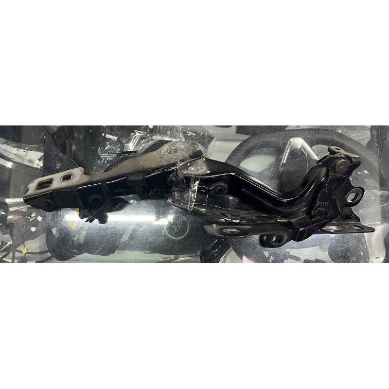 Ford Mustang Mach E Kit Dobradiças Capô