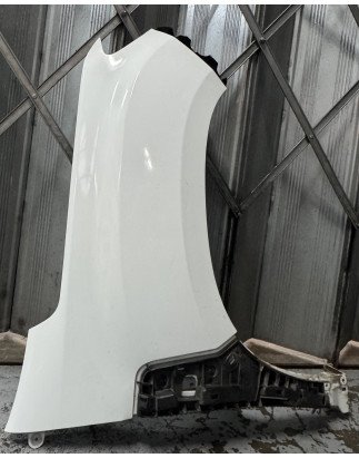 Dacia Duster Guarda Lamas Direito