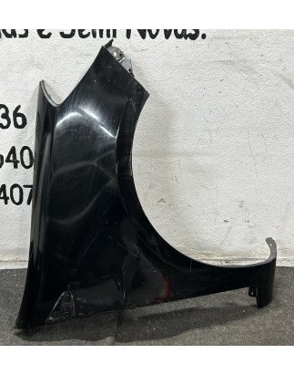 Renault Clio III Guarda Lamas Direito
