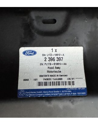 Ford Puma II Capô