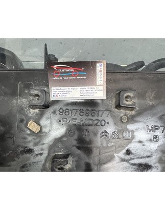 Citroen berlingo K9 friso porta