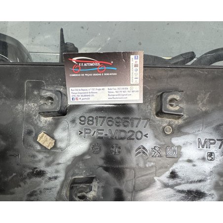 Citroen berlingo K9 friso porta