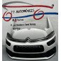 Citroen C4 II Spacetour Frente Completa