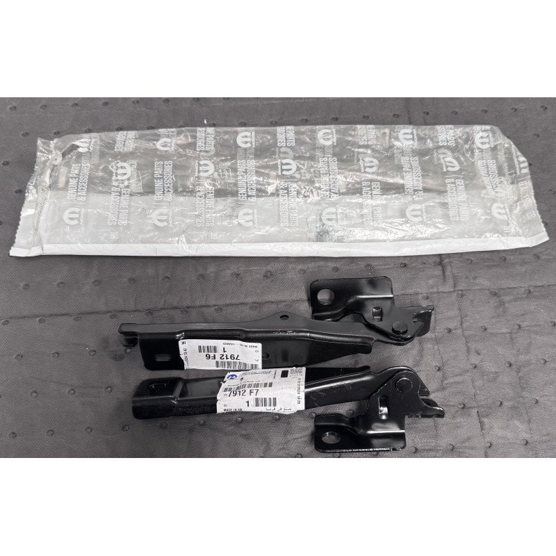 Citroen C3 II Kit Dobradiças Capo